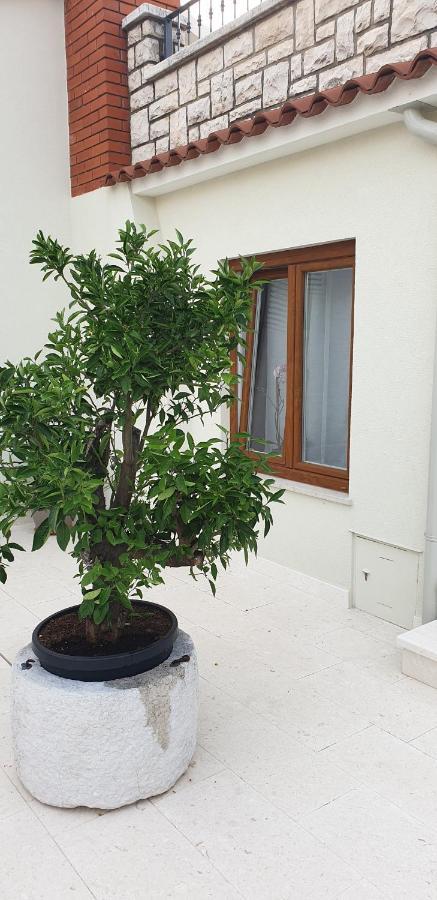 Haus Silvia Apartment Rovinj Bagian luar foto